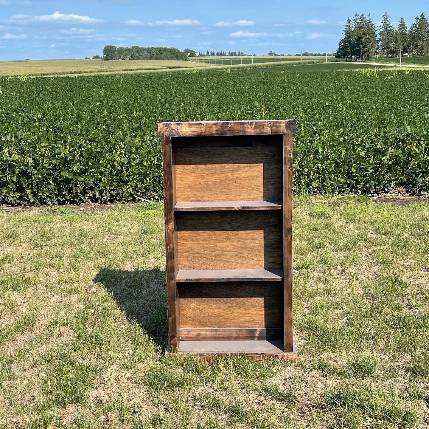 Blackout Bookshelf