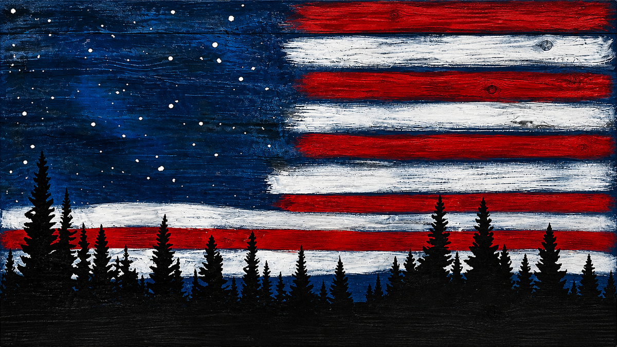 Red White and Blue Night Concealment Art