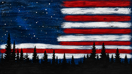 Red White and Blue Night Concealment Art